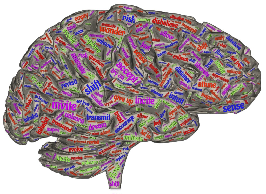 Rendered cross section of human brain with colorful words written everywhere. Some of the words are how, shift, revisit, inhabit, inspire, transcend, unlearn, transmit, distance, wonder, explore, allow, evolve, try on, enliven, and several others as well as smaller words that are difficult to read.